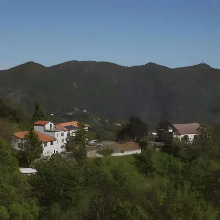 Humus Sapiens 1 *