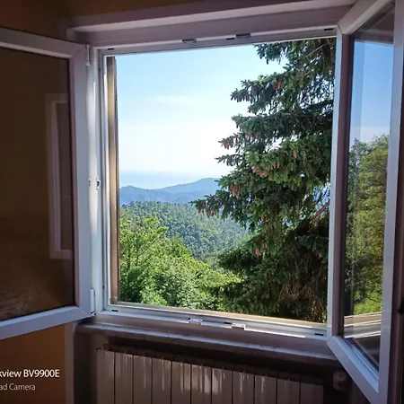 Humus Sapiens 1 *